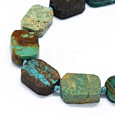 Natural Turquoise Beads Strands G-F725-10-1
