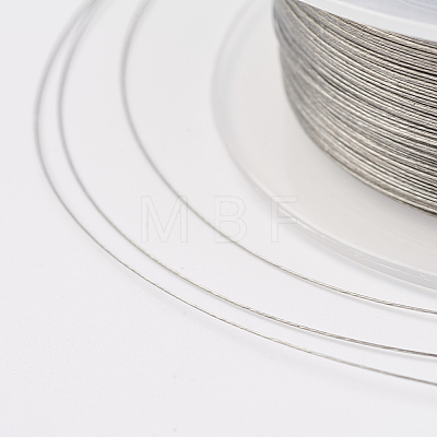 Steel Wire TWIR-E001-0.25mm-1
