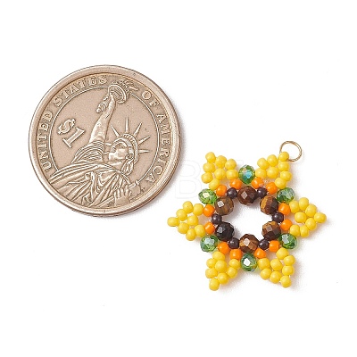 Glass Seed Beaded Pendants PALLOY-MZ01241-01-1