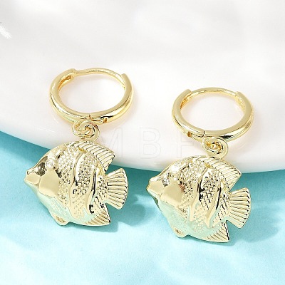 Brass Hoop Earrings EJEW-Q036-03A-G-1