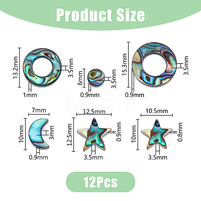 12Pcs 6 Styles Natural Abalone Shell/Paua Shell Beads SSHEL-DC0001-01-1