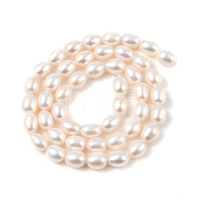 Natural Cultured Freshwater Pearl Beads Strands PEAR-I007-01C-01A-1