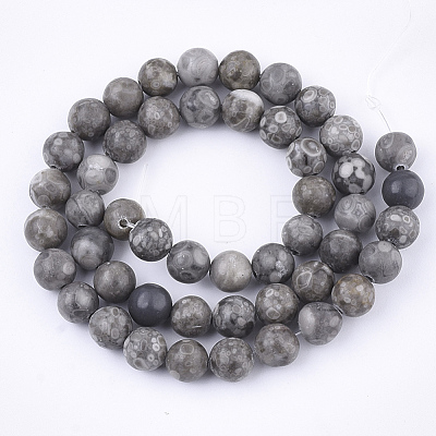 Natural Maifanite/Maifan Stone Beads Strands X-G-Q462-8mm-21-1