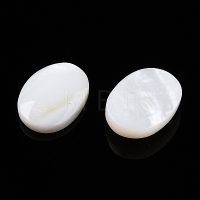 Natural Freshwater Shell Cabochons SHEL-T020-04-1