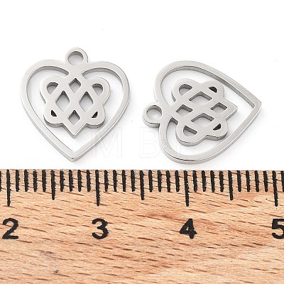 316 Surgical Stainless Steel Charms STAS-Q314-06P-1