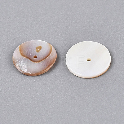 Natural Freshwater Shell Beads BSHE-T014-43C-1