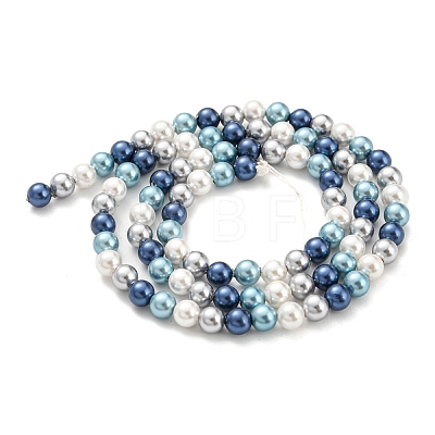 Electroplated Natural Shell Beads Strands SHEL-F008-03A-07-1