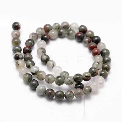Natural African Bloodstone Beads Strands G-G735-32-6mm-1