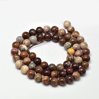 Natural Petrified Wood Round Bead Strands G-F266-08-6mm-1