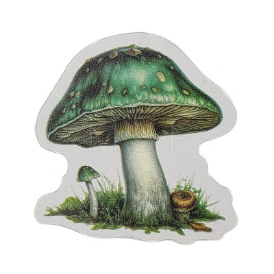 Mushroom with Bottle Waterproof PET Stickers DIY-G116-04D-1
