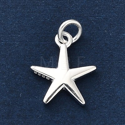 925 Sterling Silver Charms FIND-Z069-04S-A-1