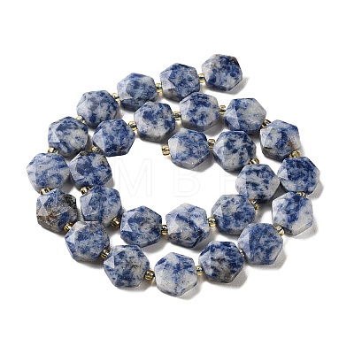Natural Blue Spot Jasper Beads Strands G-H344-B02-01-1