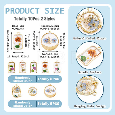 10Pcs 2 Styles Transparent Resin Pendants RESI-TA0005-61-1