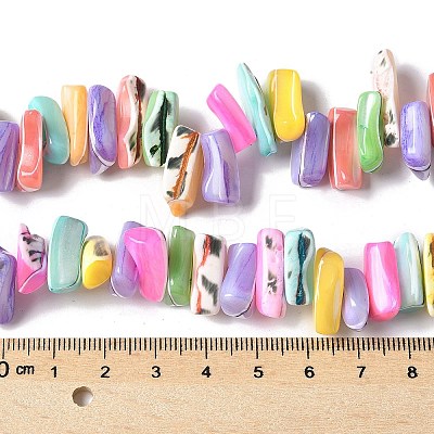 Dyed Natural Trochus Shell Beads Strands X-SSHEL-C013-09G-1