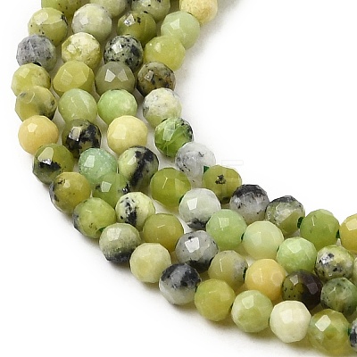Natural Serpentine Beads Strands G-P603-C-2mm-06-1