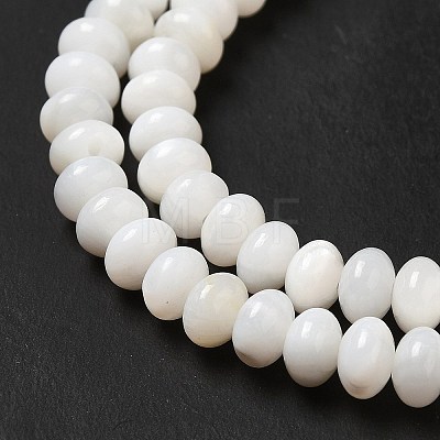 Natural Freshwater Shell Beads Strands BSHE-E026-15B-02-1