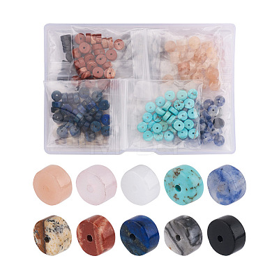 Craftdady 300Pcs 10 Style Natural Gemstone Beads G-CD0001-03-1