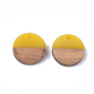 Resin & Walnut Wood Pendants RESI-S358-02C-06-1