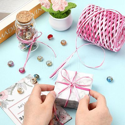 1 Roll Segment Dyed Raffia Paper Cords for DIY Craft OCOR-CJ0004-12-1