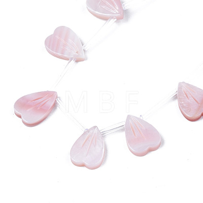 Natural Pink Shell Beads Strands SSHEL-S278-121A-01A-1