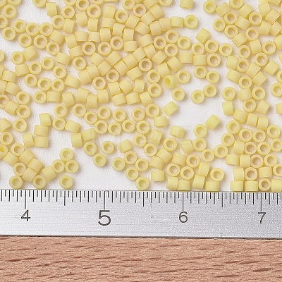 MIYUKI Delica Beads X-SEED-J020-DB1581-1