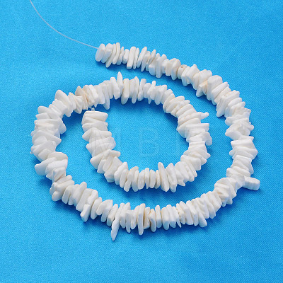 Natural Sea Shell Chips Beads Strands X-BSHE-Q024-02-1