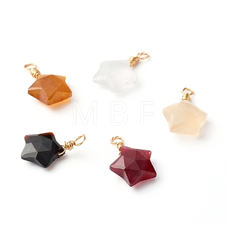 Natural Mixed Gemstone Pendants PALLOY-JF00929-1