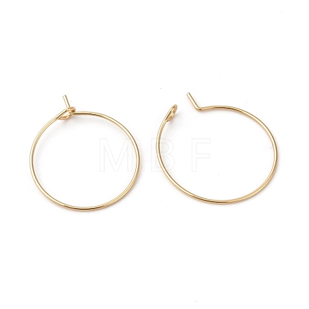 316L Surgical Stainless Steel Hoop Earring Findings STAS-G229-07G-05B-1