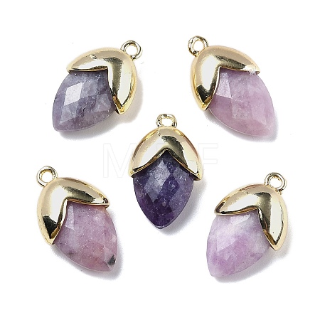 Natural Lepidolite Pendants G-U019-03A-03-1