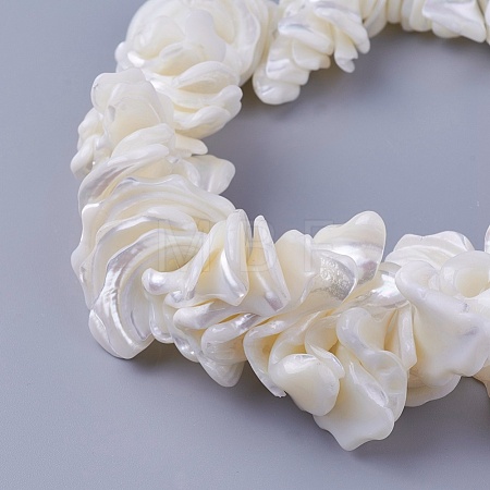 Natural Shell Beads Strands SSHEL-E571-40-1