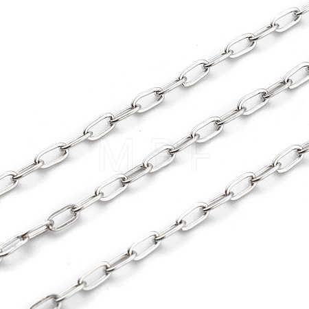 Non-Tarnish 304 Stainless Steel Paperclip Chains STAS-H111-04P-A-1