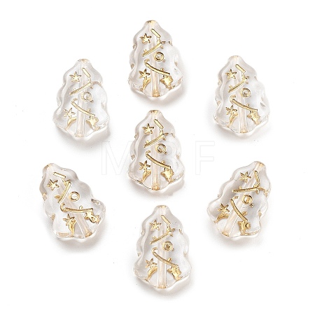 Metal Enlaced Transparent Acrylic Beads LS-X-MACR-M045-09-1
