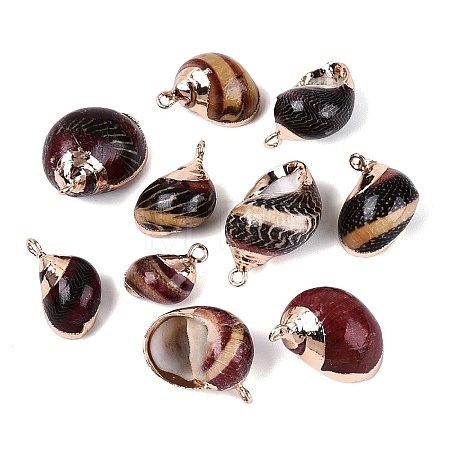 Electroplate Natural Spiral Shell Pendants SSHEL-Q100-47G-1