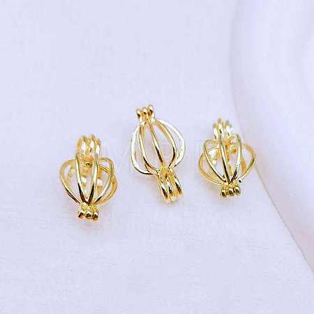 Alloy Locket Pendants FIND-H019-11G-1