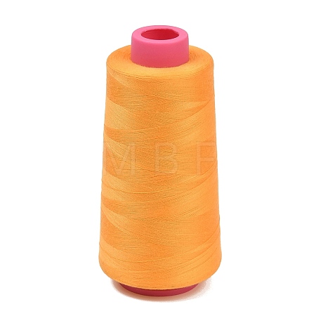 Polyester Machine Embroidery Threads FB-CBA4738-01G-1
