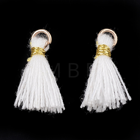 Polycotton(Polyester Cotton) Tassel Pendant Decorations FIND-S281-39-1