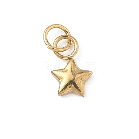304 Stainless Steel Charms STAS-B140-04G-1