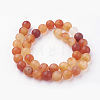 Natural Red Agate Bead Strands G-G735-64F-10mm-2