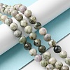 Natural Peace Jade Beads Strands X-G-E598-04B-1