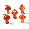 Natural Red Agate Pendants GG-CBAA0EE-05P-18-1