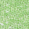 6/0 Glass Seed Beads X-SEED-A015-4mm-2214-2