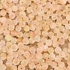 Frosted Glass Seed Beads SEED-N012-01H-3