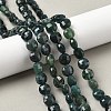 Natural Moss Agate Beads Strands G-C179-A53-03-1