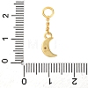 925 Sterling Silver Clear Cubic Zirconia Tassel Pendants STER-A032-04B-G-3