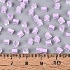 FGB Grade A Frosted Glass Seed Beads SEED-Q040-04A-05-6