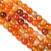 Natural Striped Agate/Banded Agate Beads Strands G-I254-03B-02-3