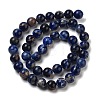 Natural South Africa Sodalite Beads Strands X-G-S259-35-6mm-4