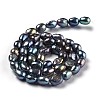 Natural Cultured Freshwater Pearl Beads Strands PEAR-L033-31F-3