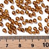 8/0 Glass Seed Beads SEED-US0003-3mm-22C-3