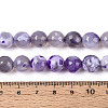 Dyed & Heated Natural Fire Crackle Agate Beads Strands G-N359-01B-08-5